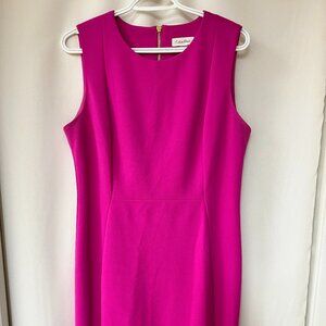 Calvin Klein Pink Shift Dress